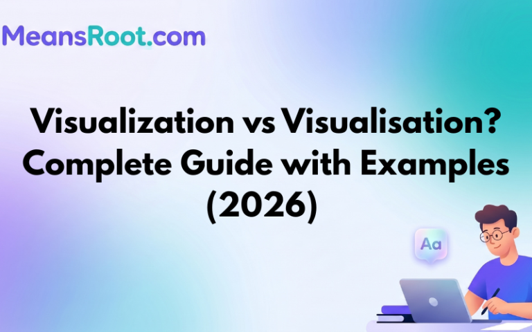 Visualization vs Visualisation
